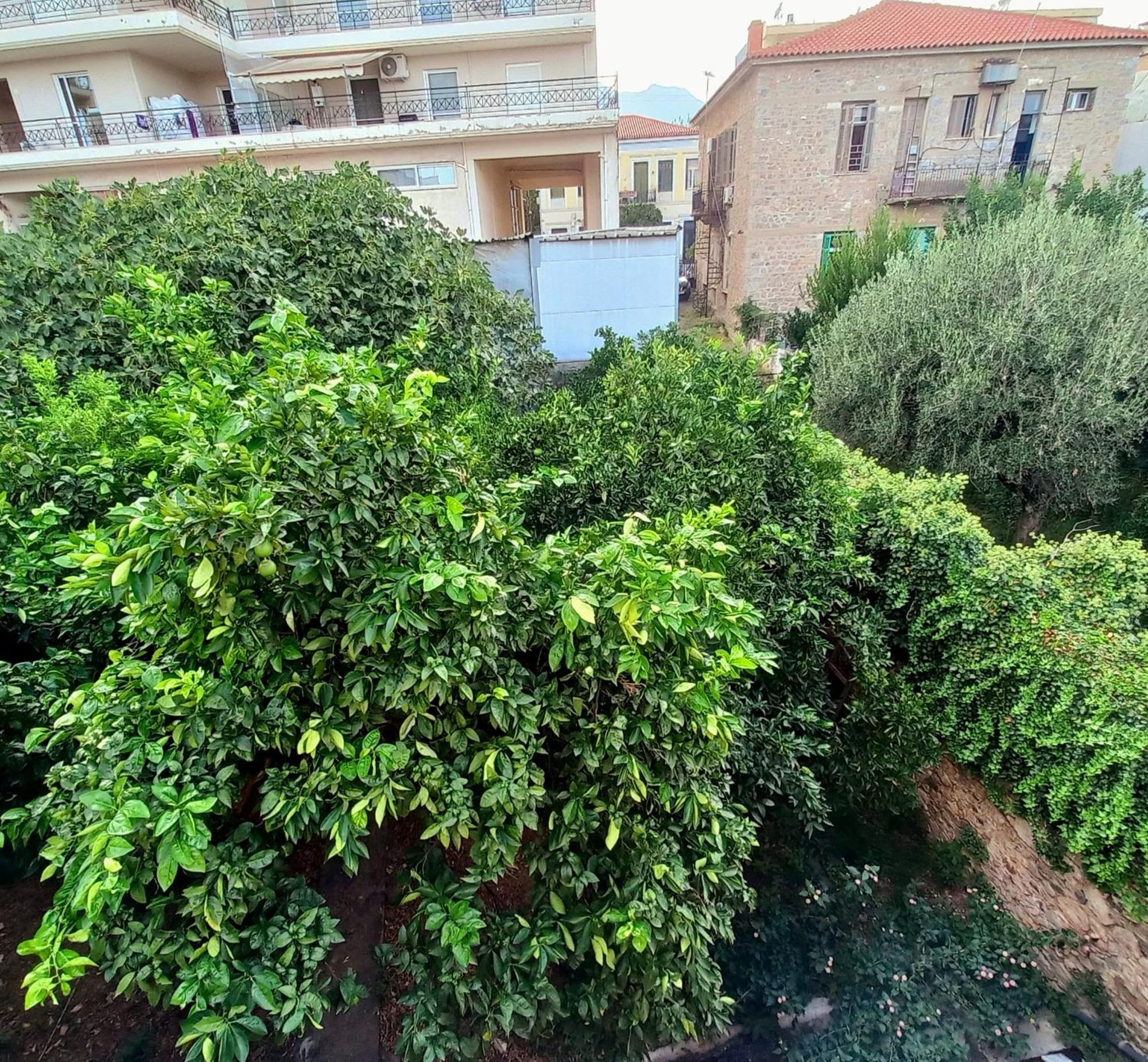 Zeta'S Vintage Garden House Vila Sparta Exterior foto